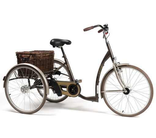 Rower rehabilitacyjny trójkołowy Retro Vintage