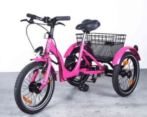 Rower rehabilitacyjny trójkołowy HOP TRIKES HOP. 16